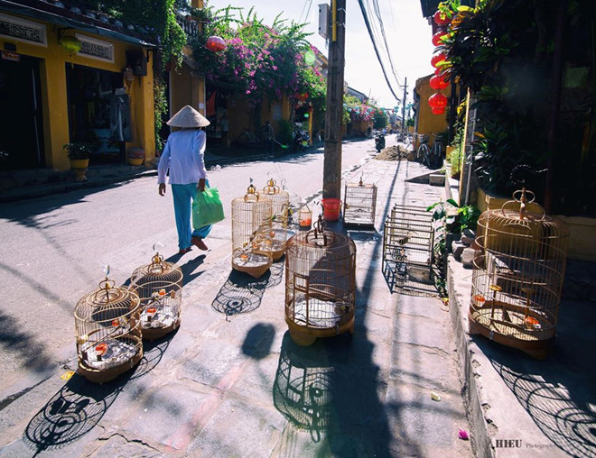 [-]Đến[-]Hội[-]An[-]để…[-]chạy[-]marathon